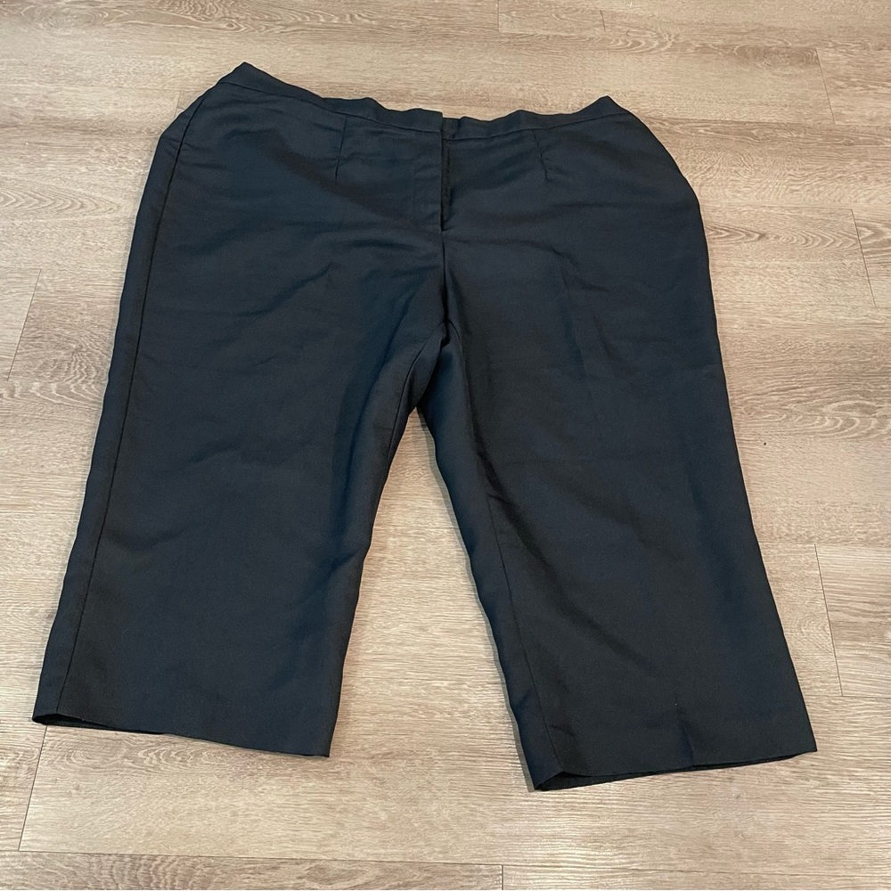 Allison woods capri pants black sz 24W